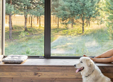 Jak spr&aacute;vně natř&iacute;t dřevo, aby vydrželo roky jako nov&eacute;?