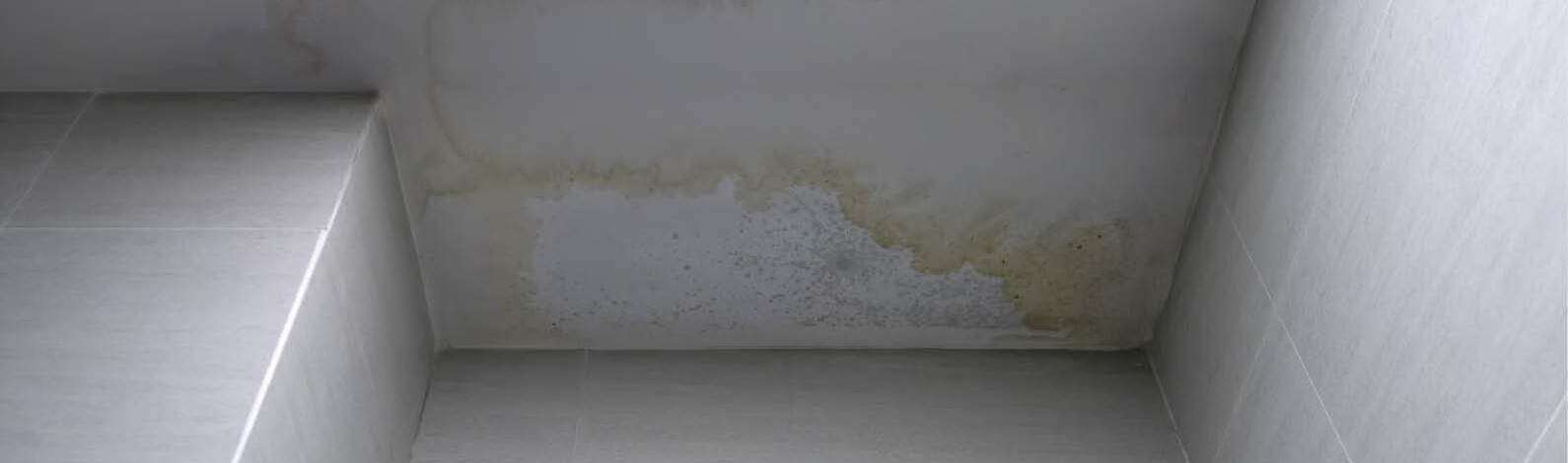 Jak snadno a rychle odstranit star&yacute; n&aacute;těr?